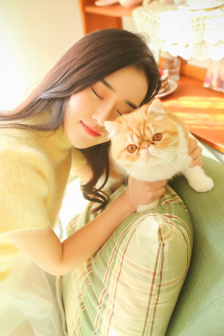 绿箭侠